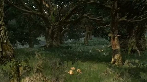 The Witcher 3 - Woods of Velen