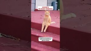 Производственный гороскоп