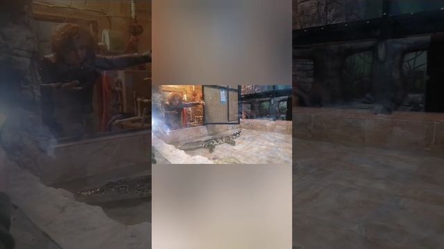 Террариум. Адлер. 2024г,февраль смотреть онлайн