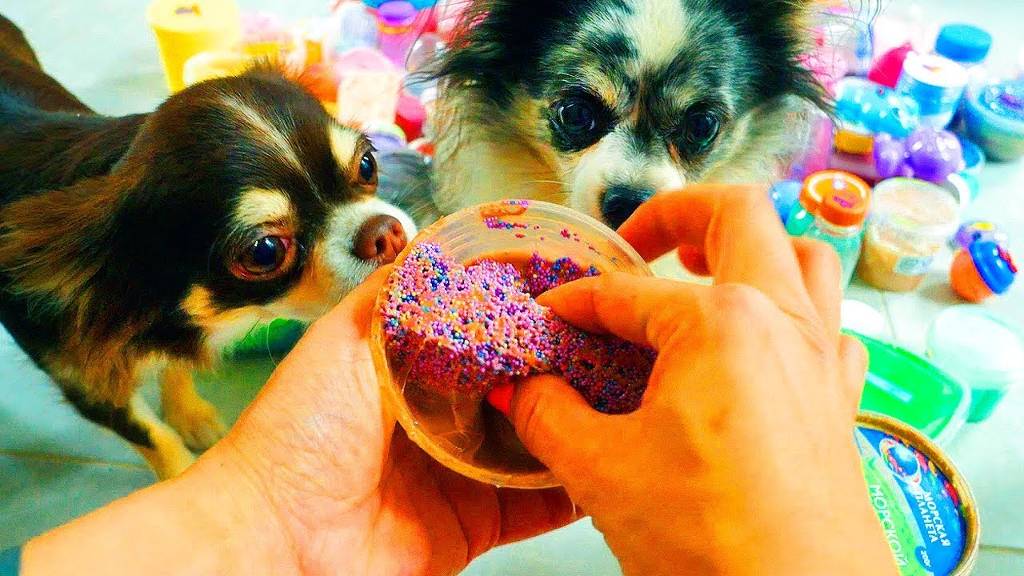 ЧТО НАШЛИ?! ПИТОМЦЫ ПРОТИВ АНТИСТРЕССОВ! МИЛЛИОН СЛАЙМОВ РАСПАКОВКА ЛИЗУНОВ 4 ДЕНЬ смотреть онлайн