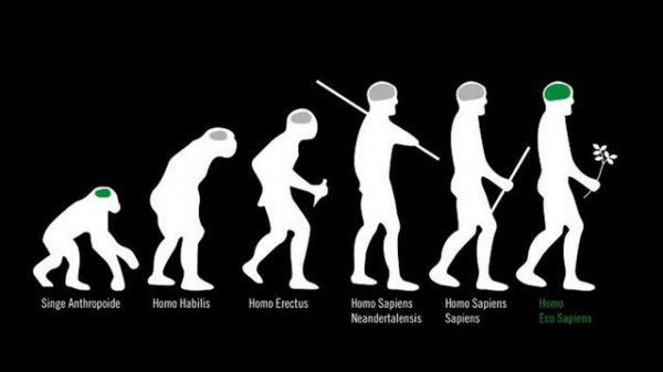 SATIRA TEORIA DE LA EVOLUCION