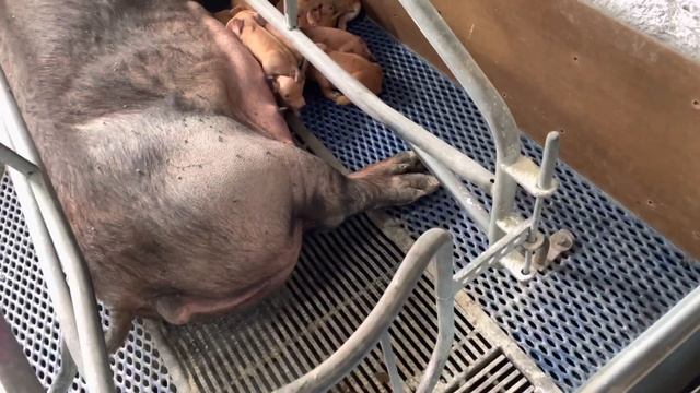 Результати експерименту. Новий прилад смотреть онлайн