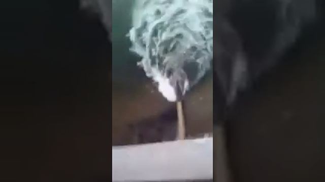 экоцид смотреть онлайн