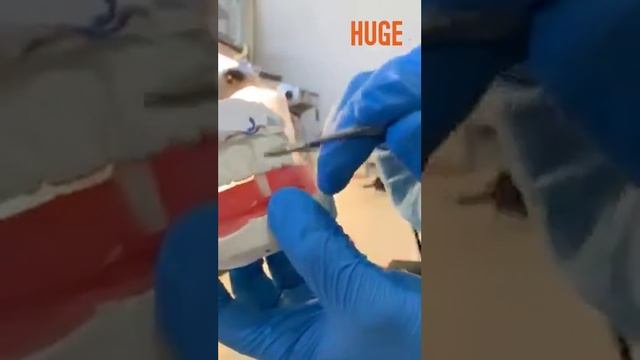 HUGE Synthetic Polymer Teeth 【KAILI Operation Guide】 смотреть онлайн