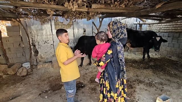 Construction Day: Love Between The Life Tensions Of Two Wives, Zahra And Azar, And Zahra's Departur