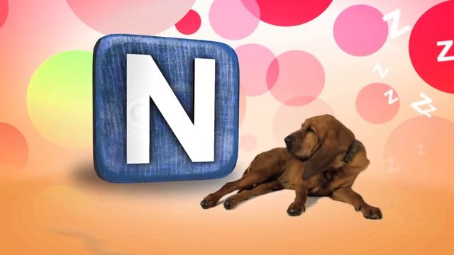 Learn ABC's - Real Animal Alphabet