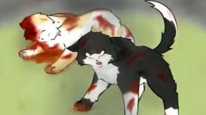 {Cat Warriors}~[Коты Воители]~Ruse»~(Яролика и Быстролап)~{By: Lynx star}