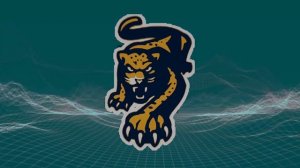 HC Sochi Goal Horn 2020-21