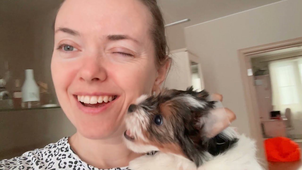 VLOG Зачем ставим уши / Волосы перестали сыпаться после ковида 21.22.12.21 смотреть онлайн