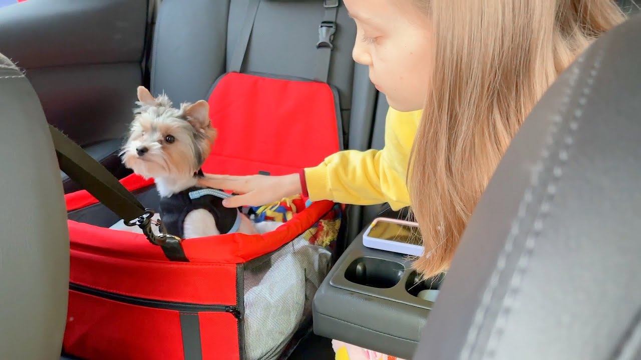 VLOG Еле доехали на ДАЧУ! Пылесос Redkey W12 Сухая и влажная уборка! 23.04.22 смотреть онлайн