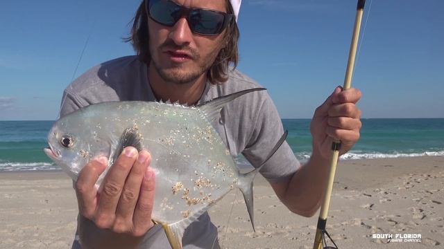 Fishing and Surfing with SHARKS! Permit vs Pompano Catch and Cook смотреть онлайн
