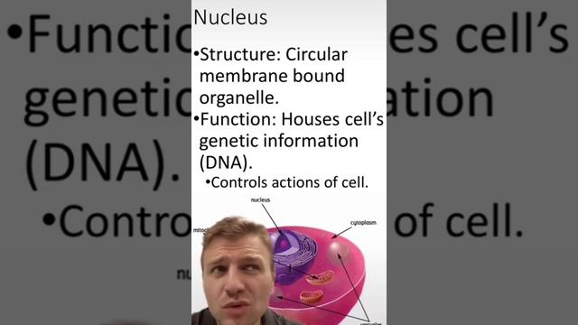 short class#biology #education #biology смотреть онлайн