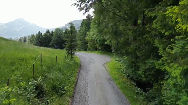 To Charmey on an Electric Longboard смотреть онлайн