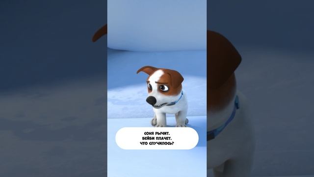 Бейби плачет. Соня рычит. Что случилось? смотреть онлайн