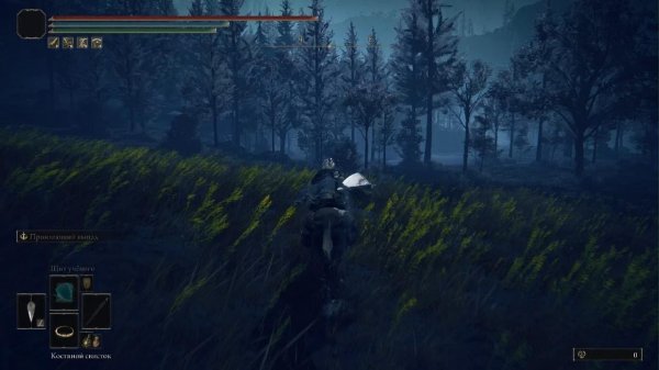 Где найти фрагмент карты Руины Рауха в Elden Ring Shadow of the Erdtree