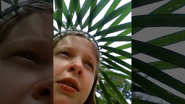 Сплав на бамбуковых плотах по КХАО-СОКу! Интересно смотреть онлайн