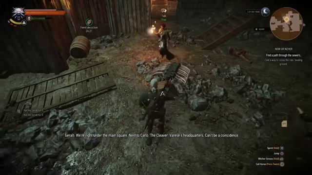 The Witcher 3: Wild Hunt - Fear the Spider-Rat смотреть онлайн