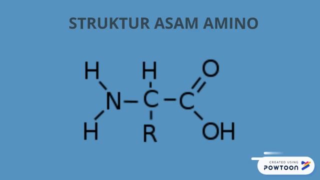 ASAM AMINO смотреть онлайн