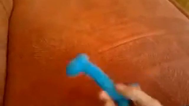 Покупки из зоомагазина!= простите за голос !!! заболела смотреть онлайн