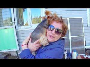 ВЛОГ Мама приехала! Нефть на даче! 10 мая 2018