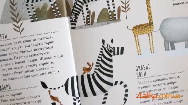 Несподівана дружба у природі. Новинка від видавництва "Ранок" смотреть онлайн