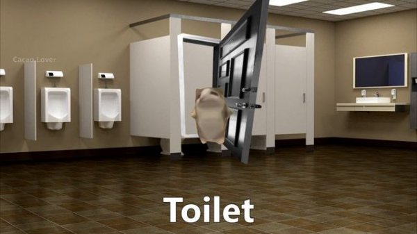 10+ "Happy Happy Happy Cat" Sound Variations in 1 Minute