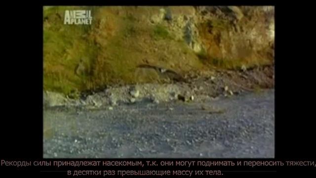Биологический уклон - монтаж (завершенная версия) смотреть онлайн