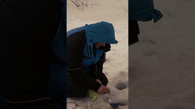 Ловля уклейки смотреть онлайн