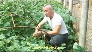 +100500 (12 летняя Таня)