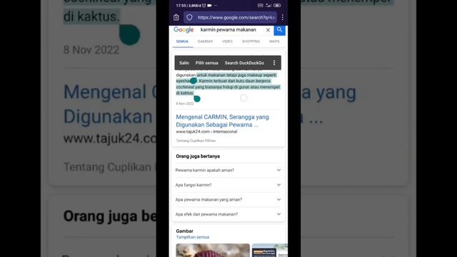 Pewarna Makanan Dan Minuman Strawberry Terbuat Dari Sejenis KUTU, Liat Penampakannya