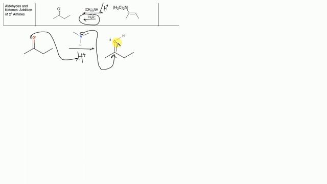 Orgo 2 Exam 3 Reactions Part 1 смотреть онлайн