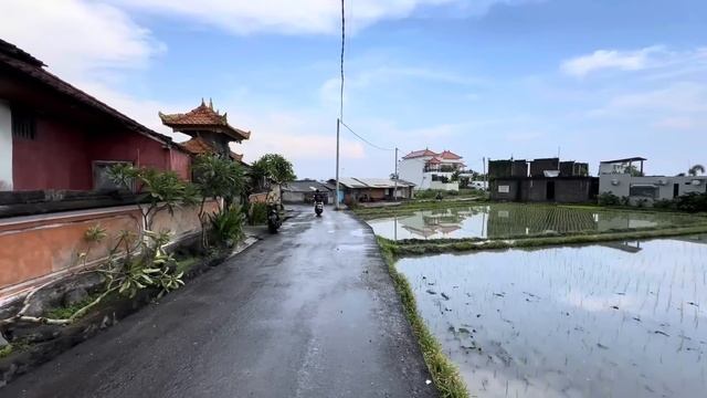Беженец🇮🇩Бали. Челики, ищем варики с басиками😁 Жилье подешевле возле девушки. Чемаги. Рофл и анк. смотреть онлайн