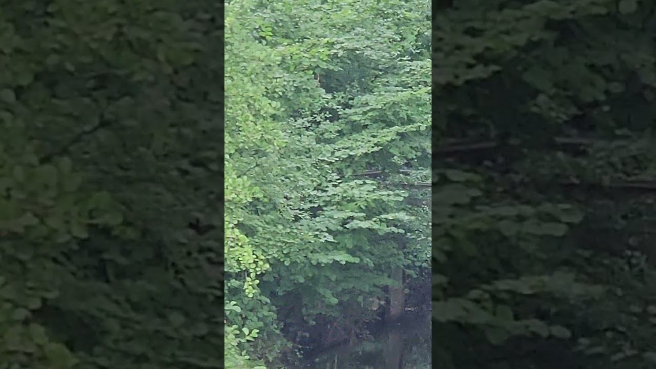 8 сентября 2024 г.