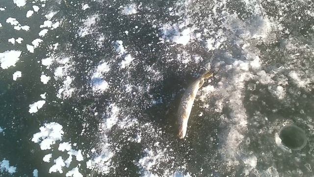 Рыбалка жерлицами на щуку 2 смотреть онлайн