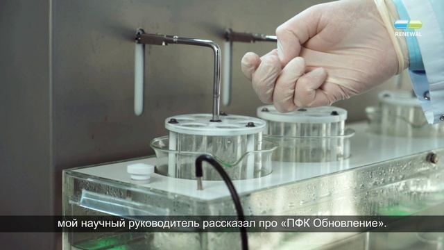 Истории практикантов Renewal