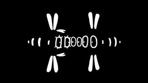 Вдоль и поперек. Режиссер Конева Мария. 2017 г.