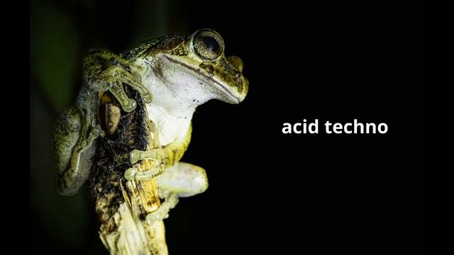 Acid Techno Mix