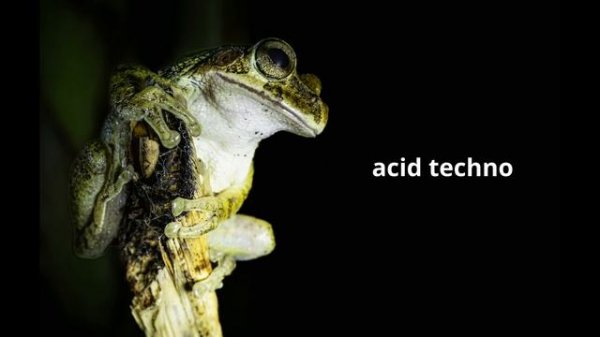 acid techno mix