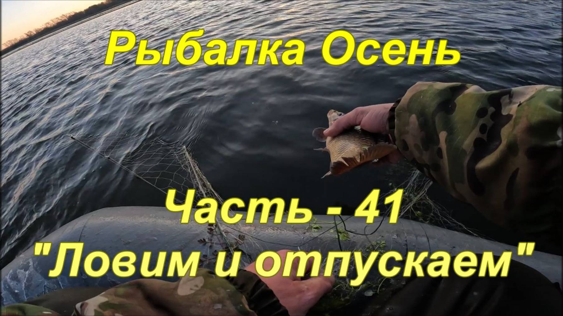 Рыбалка. Осень. Часть - 41. "Ловим и отпускаем". смотреть онлайн