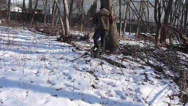 ОСТРОВ ДРАКОНОВ смотреть онлайн