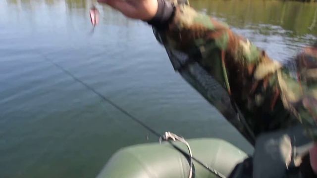 окунь на пол кило. смотреть онлайн