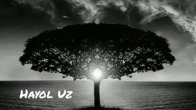 Эхсон Саидов 2023