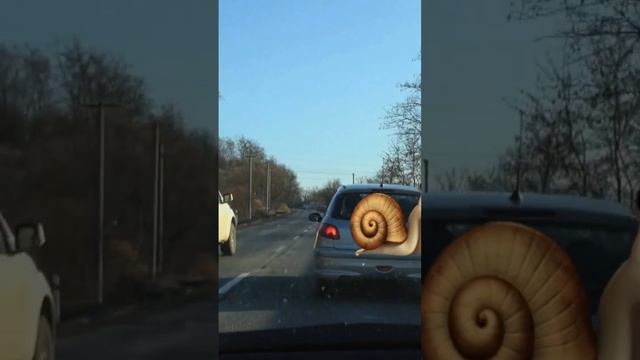 🐌 Slimáky na cestách: Keď vodiči brzdia na nervy смотреть онлайн
