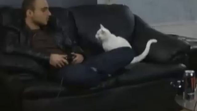 "Fuck off, bitch" - KuroKy смотреть онлайн