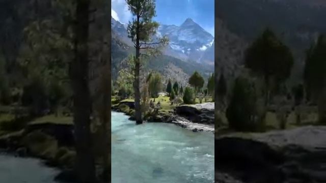 За синими туманами #love #музыка #любовь #душевнаяпесня