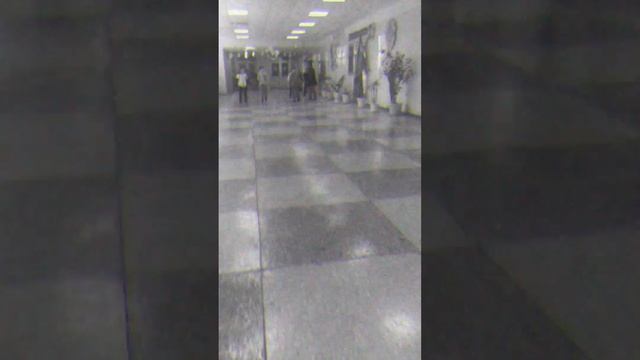 #человеки пауки #ржака Ржачное Видео Два Человека Паука в Школе смотреть онлайн