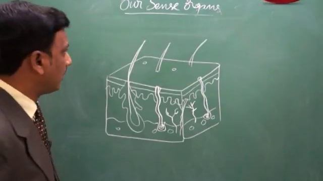 Nose : Sense Organs | Biology | Class 9 | AP&TS смотреть онлайн
