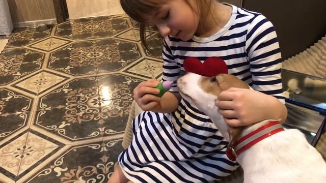 Николь лечит Гамлета. Январь 2020г. смотреть онлайн