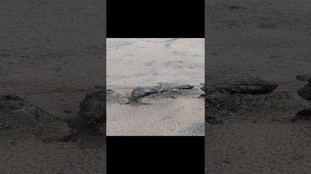 Интересное сооружение когда то было