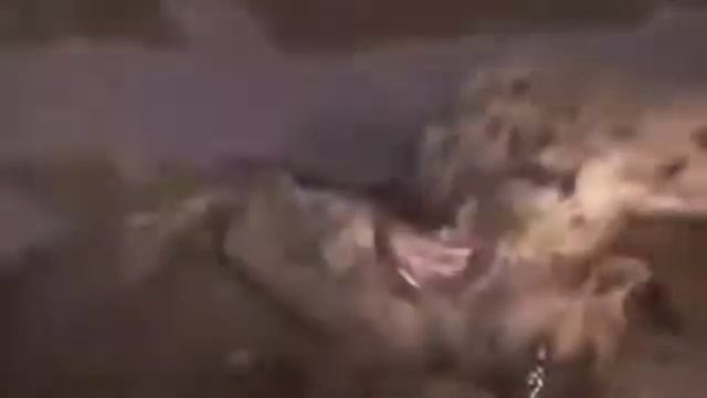 жест гиеный🔥🔥🔥 смотреть онлайн